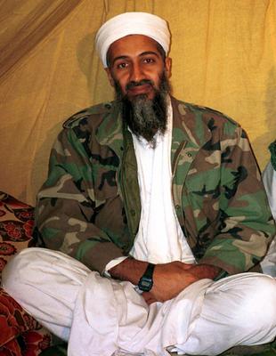 Bin Laden Al Gore Supporter. Bin Laden lies low,