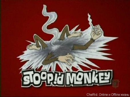 stoopid monkey pictures. robot-chicken-stupid-monkey-